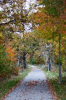 Autumn In Linkoping