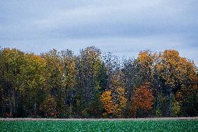 Autumn In Linkoping