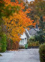 Autumn In Linkoping