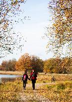 Autumn In Linkoping