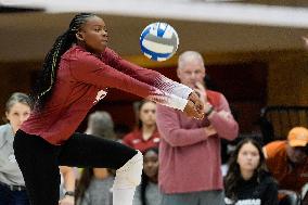 VOLLEY - Evento - NCAA - Texas Women vs Arkansas Women