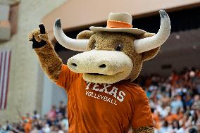 VOLLEY - Evento - NCAA - Texas Women vs Arkansas Women