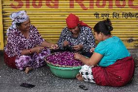 Globe Amaranth (Makhamali) Flowers For Tihar Festival In Nepal.