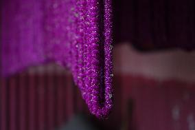 Globe Amaranth (Makhamali) Flowers For Tihar Festival In Nepal.