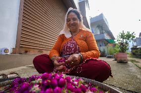 Florists In Nepal At Brisk As Tihar- Diwali- Festival Of Lights And Flowers Approaches