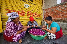 Florists In Nepal At Brisk As Tihar- Diwali- Festival Of Lights And Flowers Approaches