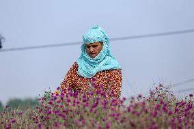 Florists In Nepal At Brisk As Tihar- Diwali- Festival Of Lights And Flowers Approaches