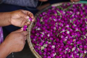 Florists In Nepal At Brisk As Tihar- Diwali- Festival Of Lights And Flowers Approaches