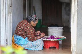 Florists In Nepal At Brisk As Tihar- Diwali- Festival Of Lights And Flowers Approaches