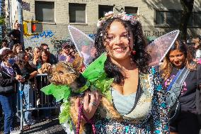 Tompkins Square Halloween Dog Parade