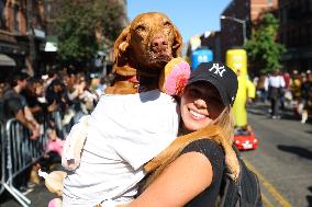 Tompkins Square Halloween Dog Parade