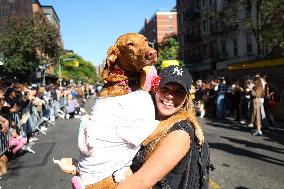 Tompkins Square Halloween Dog Parade