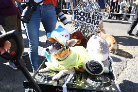 Tompkins Square Halloween Dog Parade