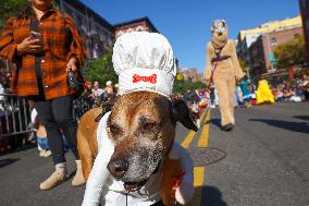 Tompkins Square Halloween Dog Parade