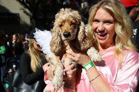 Tompkins Square Halloween Dog Parade