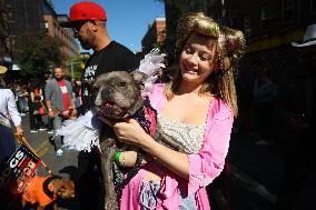 Tompkins Square Halloween Dog Parade