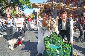 Tompkins Square Halloween Dog Parade