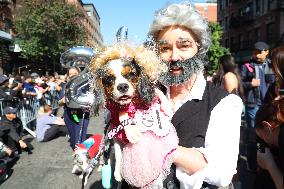 Tompkins Square Halloween Dog Parade