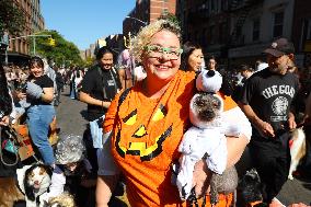 Tompkins Square Halloween Dog Parade