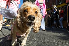 Tompkins Square Halloween Dog Parade