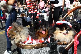 Tompkins Square Halloween Dog Parade