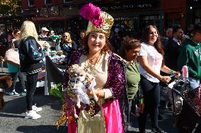 Tompkins Square Halloween Dog Parade