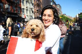 Tompkins Square Halloween Dog Parade