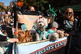 Tompkins Square Halloween Dog Parade