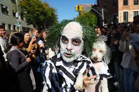 Tompkins Square Halloween Dog Parade