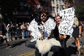 Tompkins Square Halloween Dog Parade