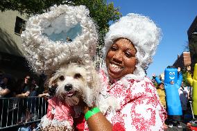 Tompkins Square Halloween Dog Parade