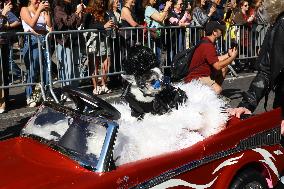 Tompkins Square Halloween Dog Parade