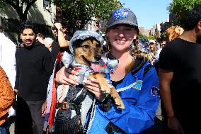 Tompkins Square Halloween Dog Parade