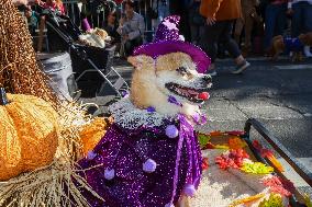 Tompkins Square Halloween Dog Parade