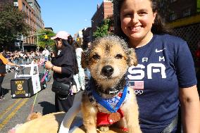 Tompkins Square Halloween Dog Parade