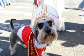 Tompkins Square Halloween Dog Parade