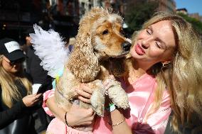 Tompkins Square Halloween Dog Parade