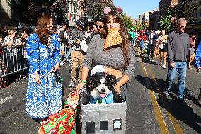 Tompkins Square Halloween Dog Parade