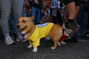 Tompkins Square Halloween Dog Parade