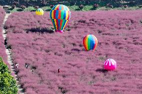 Pink Grass Tour in Yangzhou