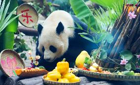 Giant Panda's Birthday in Chongqing