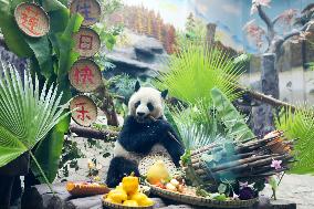 Giant Panda's Birthday in Chongqing