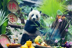 Giant Panda's Birthday in Chongqing