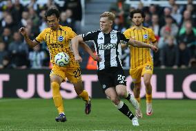 Newcastle United FC v Brighton & Hove Albion FC - Premier League