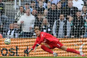 Newcastle United FC v Brighton & Hove Albion FC - Premier League