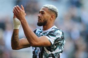 Newcastle United FC v Brighton & Hove Albion FC - Premier League