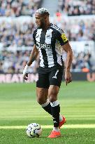 Newcastle United FC v Brighton & Hove Albion FC - Premier League