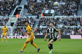 Newcastle United FC v Brighton & Hove Albion FC - Premier League