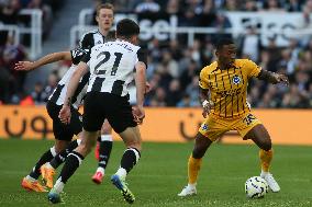 Newcastle United FC v Brighton & Hove Albion FC - Premier League