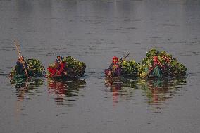 Daily Life In Kashmir, India